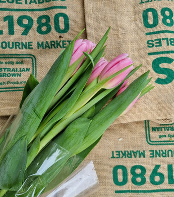 Flower- Tulip/long  , local (pink and red)  Premium