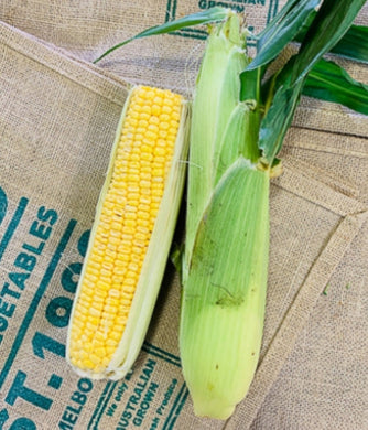 Corn- (5 FOR $10)  Special