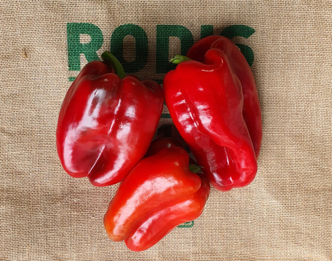 Capsicum Red - Small 500g Special