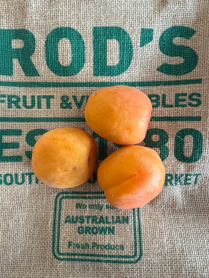 Apricots - Large (each)