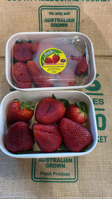 Strawberry-  Wandin Victorian ,( each) XL  , new season