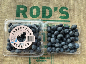 Blueberries -medium (each)
