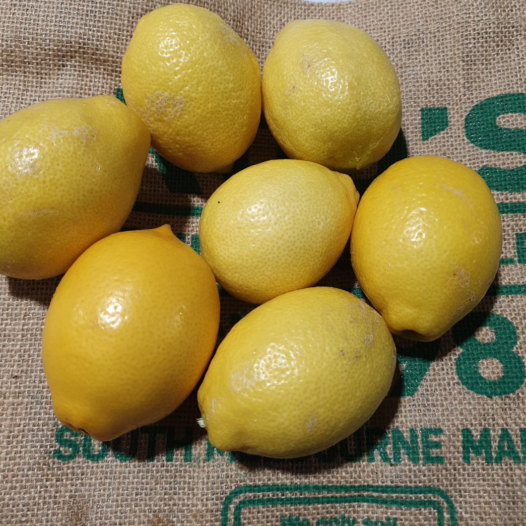 Lemons - Small (10 for $5)