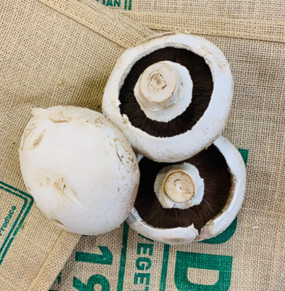 Mushrooms - White Flat (each)