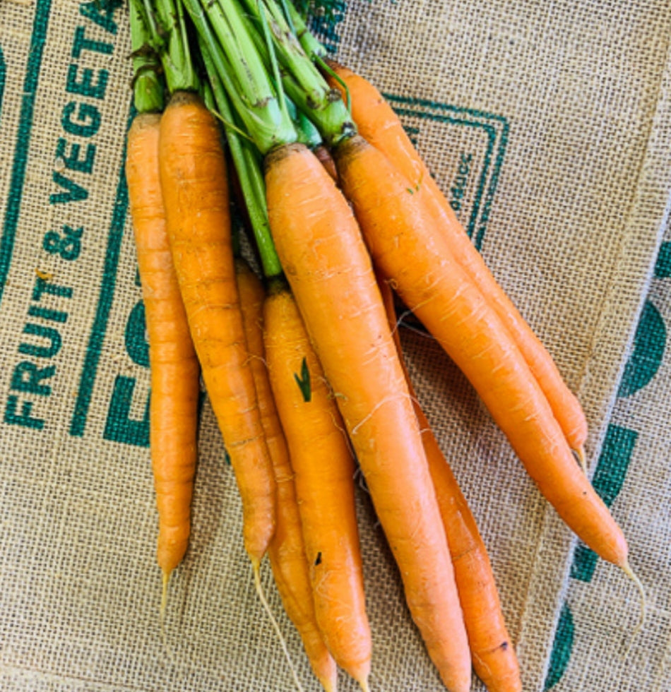 Carrots- Dutch (bunch)