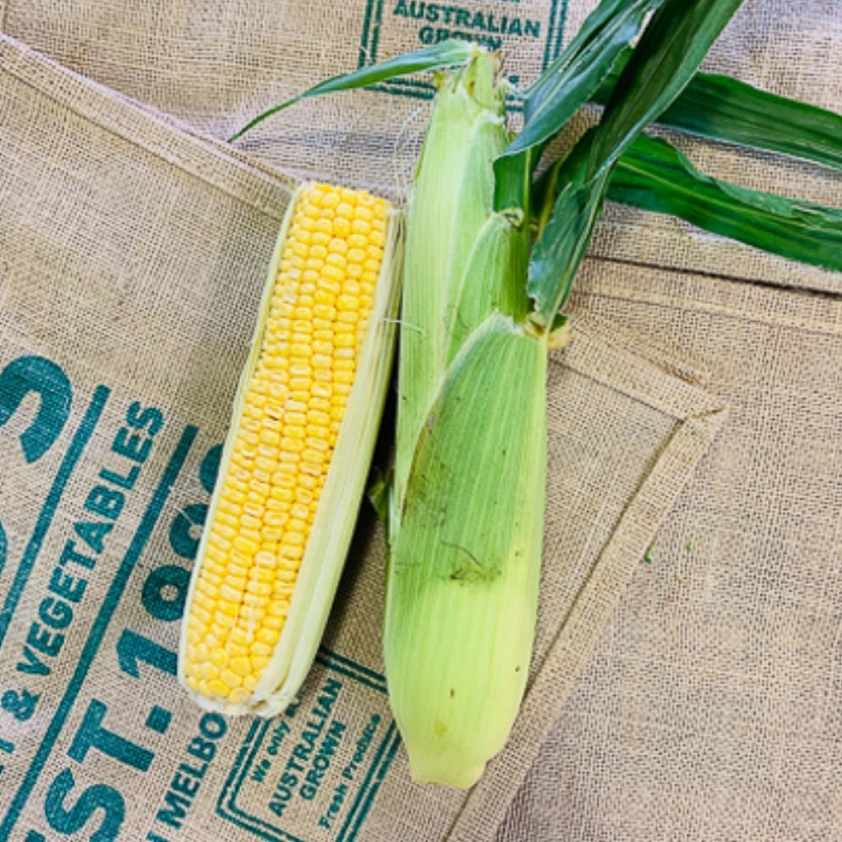 Corn , each – Rod's Fruit and Veg