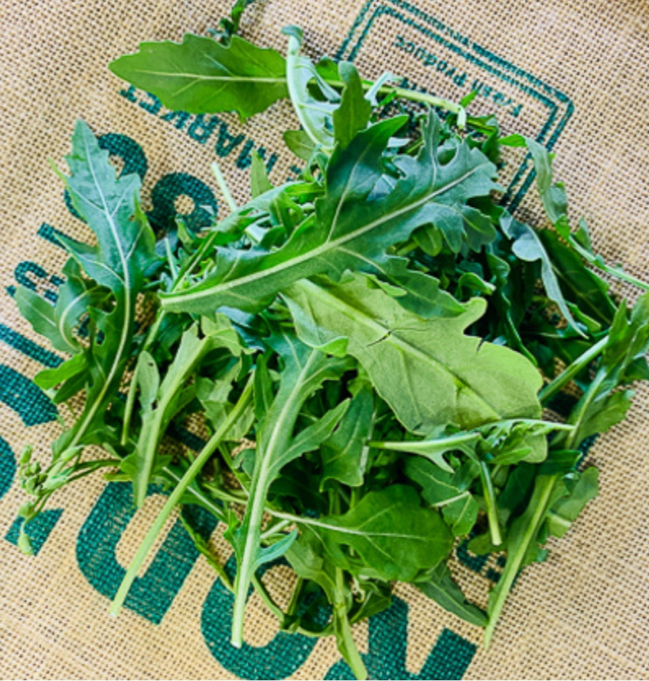 Lettuce- Rocket 400g – Rod's Fruit and Veg