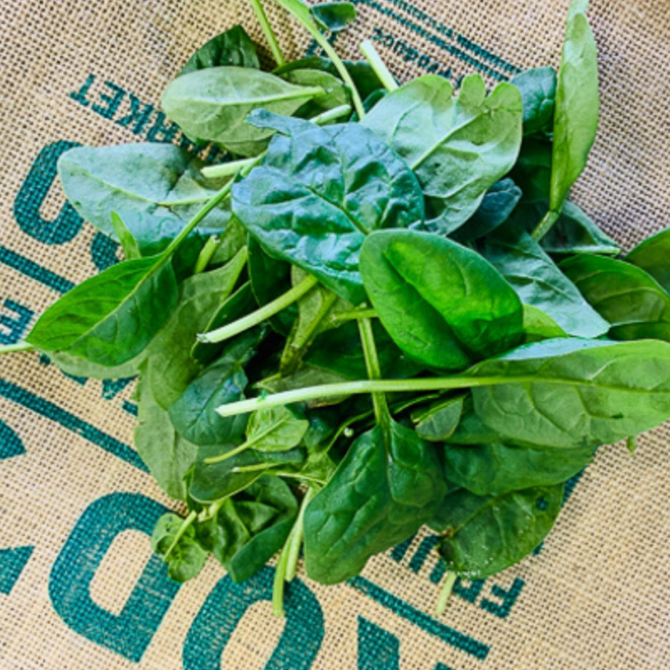 Lettuce- Baby Spinach 100g