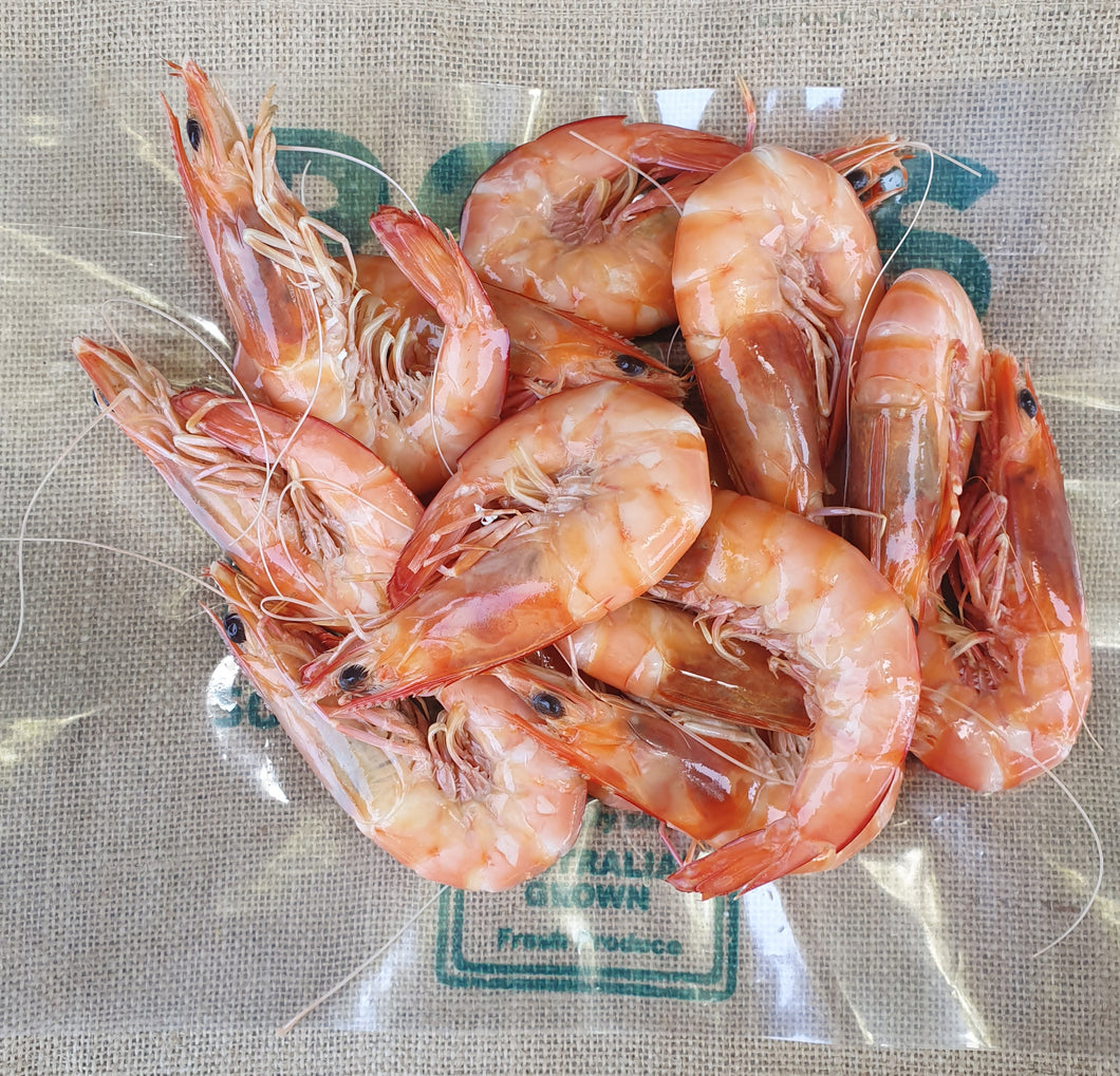 FISH- Cooked Prawns 1kg (Large) Tiger Prawns   PRE order coming soon