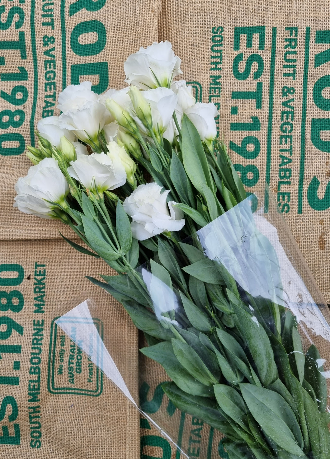 Flower- Lisianthus ,premium White (bunch)