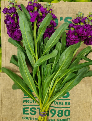 Flower- Stock ( purple)  ,bunch