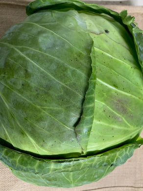Cabbage, Plain (whole)