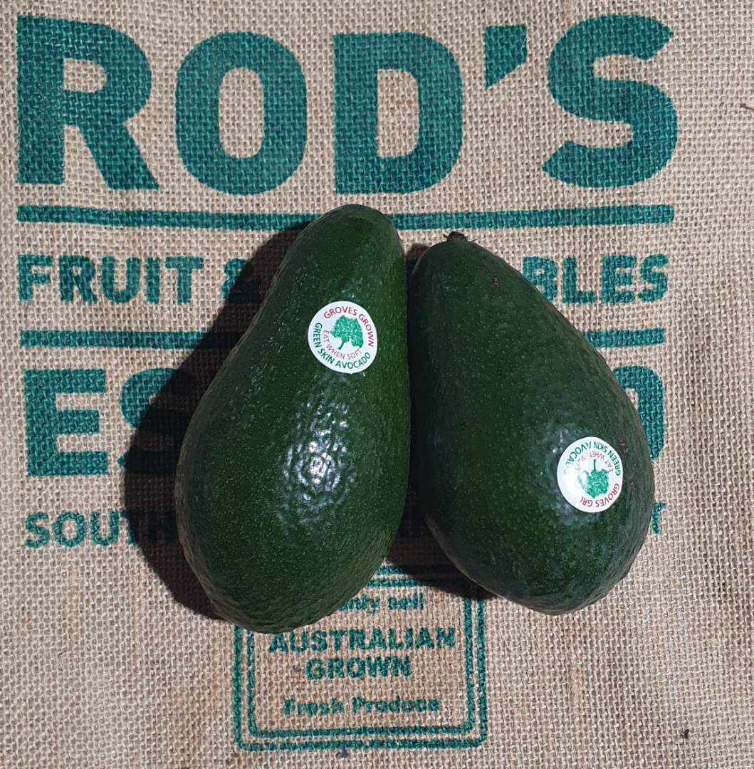 Avocado- Shepard , Small