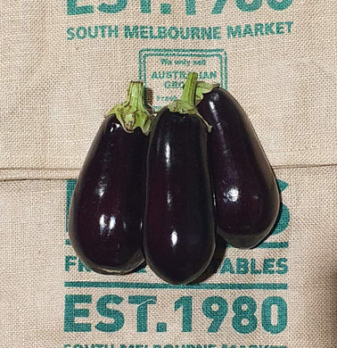 Eggplant- Large, (Each) Top Quality