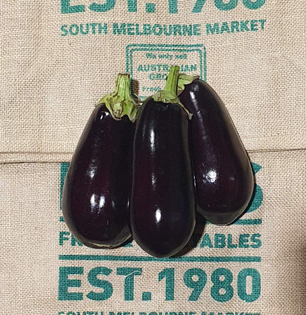Eggplant- Large, (Each)