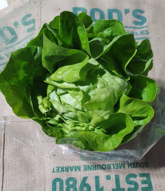 Lettuce -Butter (each)