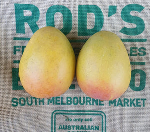 Mango- K.P , Medium