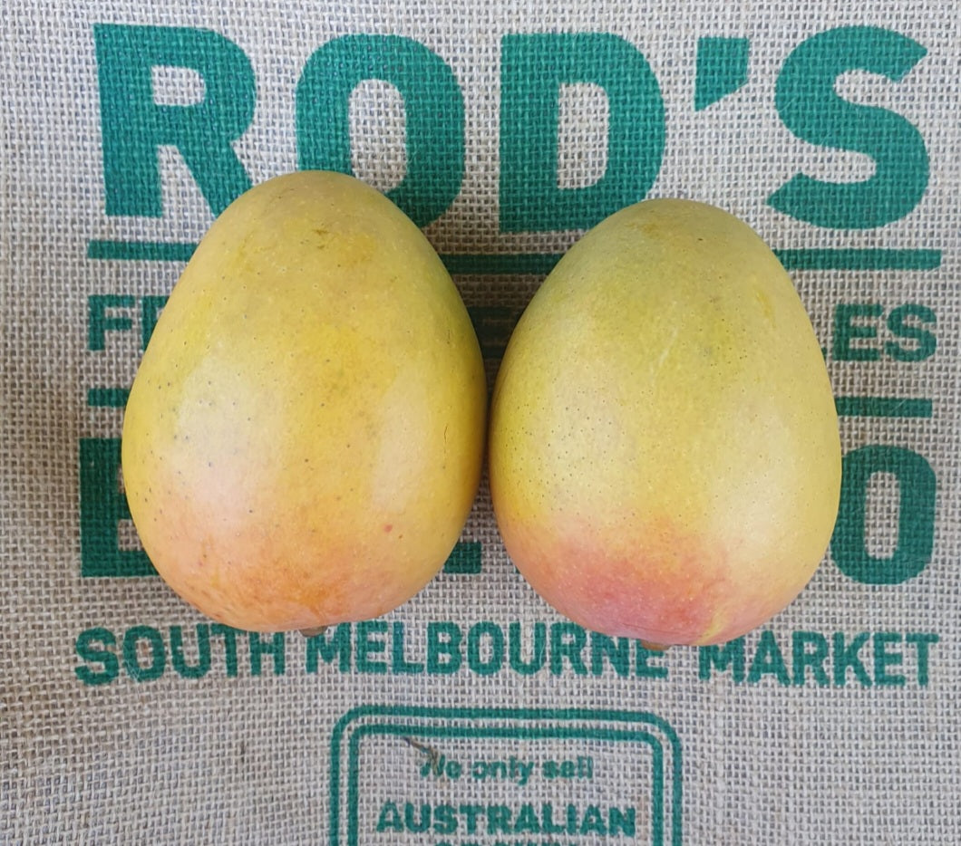 Mango- K.P , Medium