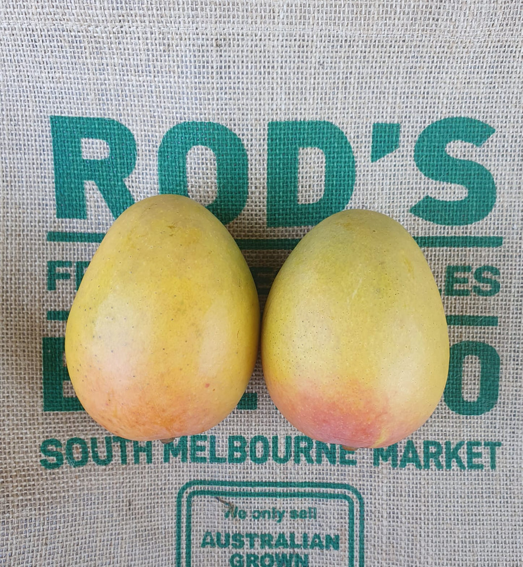 Mango- KP, medium